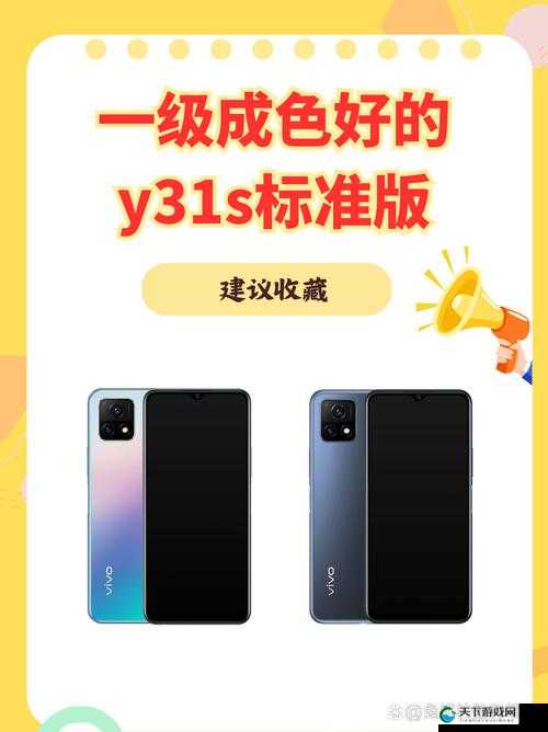 一级成色好的 y31s 标准版评测听闻无需注册登录：网民对此有何看法和体验