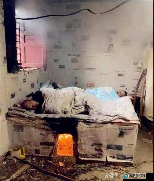 出租房里的交互高康张睿篇之他们在出租房里的故事