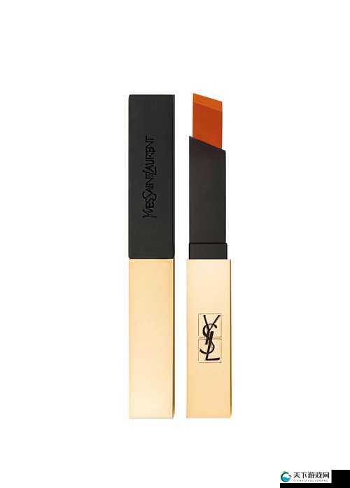 YSL 千人千色 AE86V 带你领略不一样的美妆色彩世界