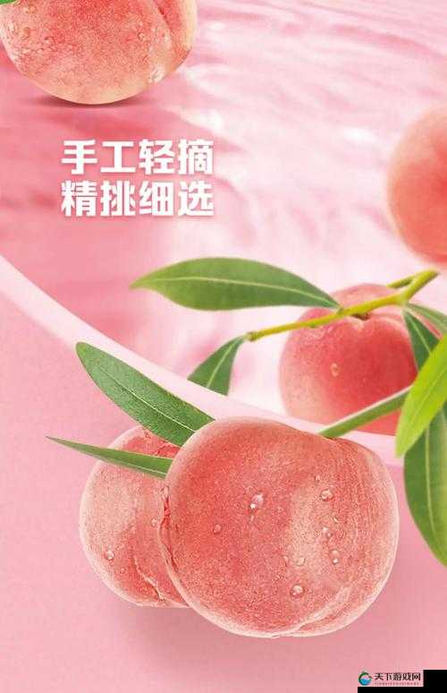 带你领略蜜汁桃桃的独特魅力