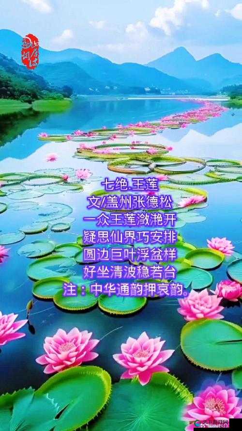 两瓣红莲今夜开，一池碧水盼君浴，浪漫美景等你来享