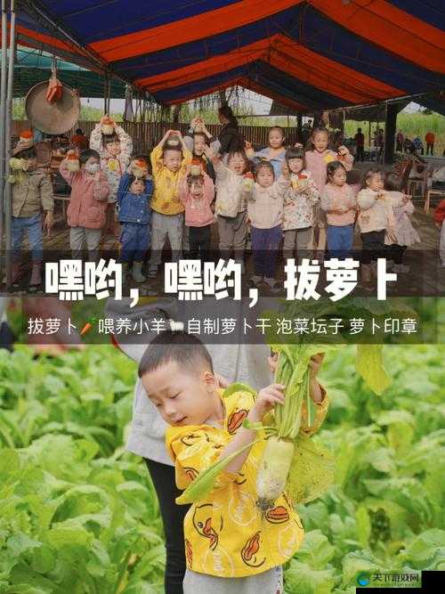 以后挤牛奶拔萝卜怎么拔：实用技巧与注意事项