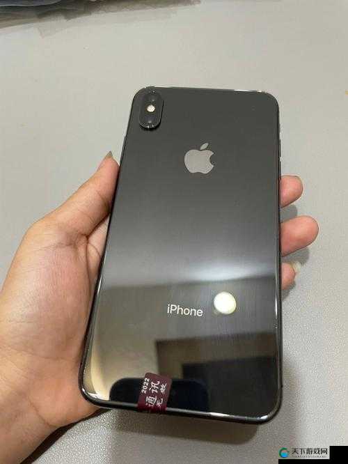 欧美 IPHONEXSMAX 免费：快来参与活动赢取惊喜大奖