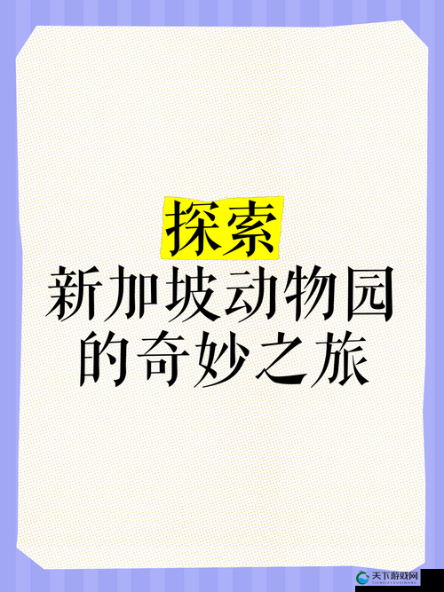 萌宠相伴，探索造化之门宠物系统奇妙之旅