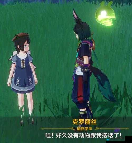 哈～c 够了吗提纳里：关于提纳里的特别疑问句探讨