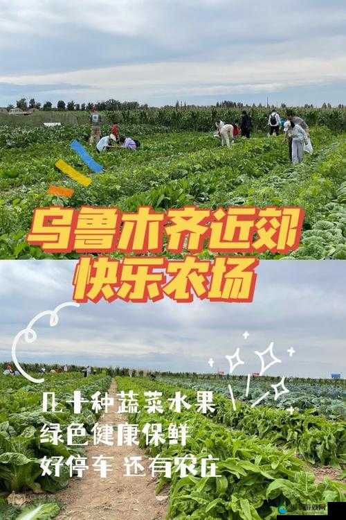 水果乐园：香蕉、丝瓜、草莓、樱桃、草莓、榴莲的奇妙世界
