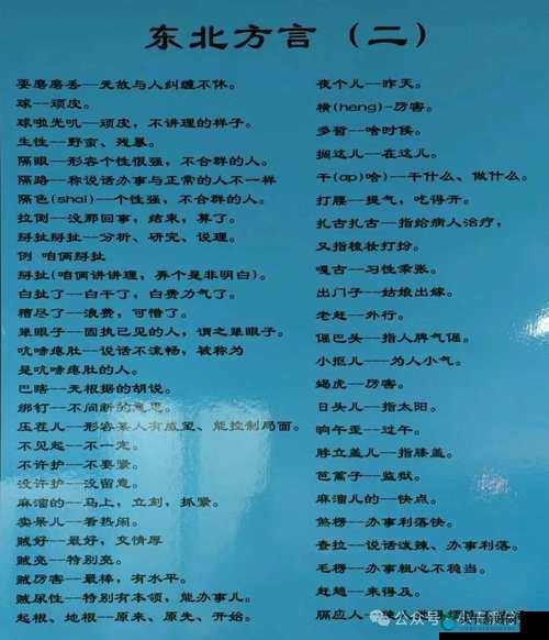 沈阳大姨叫的真好听：东北方言的魅力与情感表达