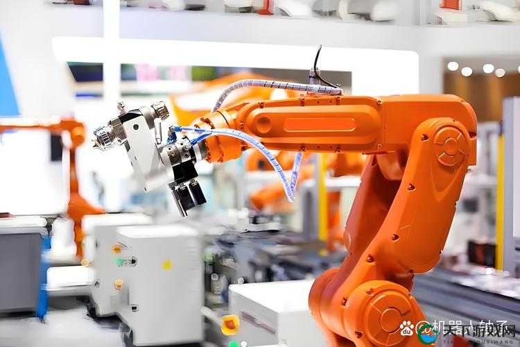 国精产品 999 永久中国有限：引领行业新高度