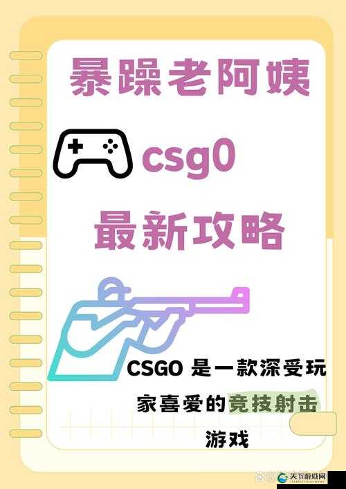 暴躁老阿姨玩转 CSGO 最新版本全攻略