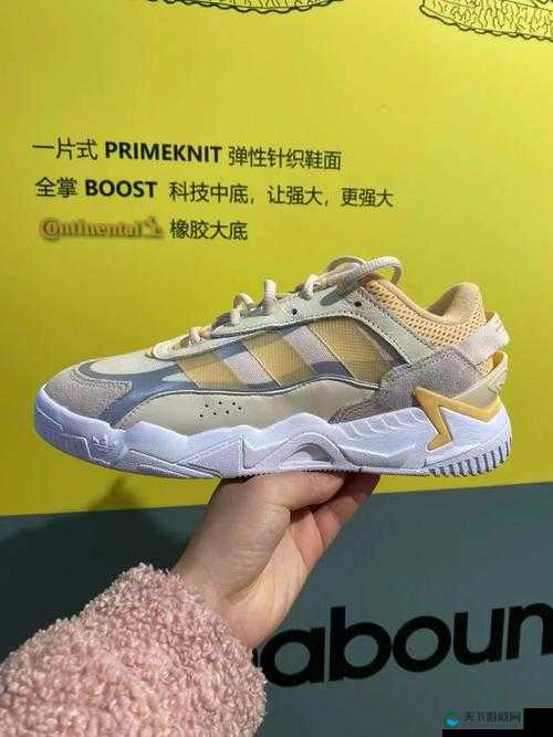 三叶草 gw5856 相关独特创意探讨