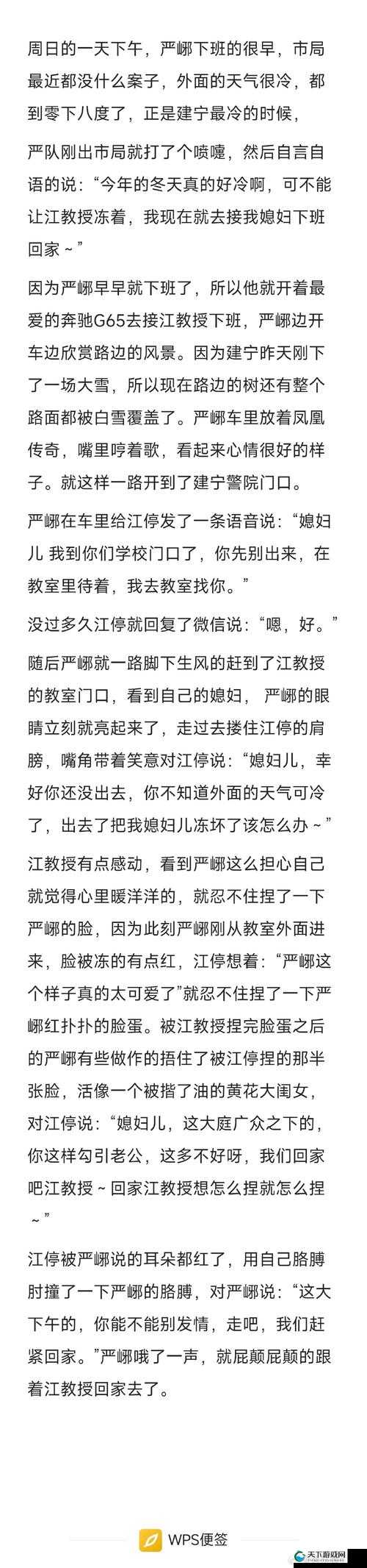 江教授的日常生活1安生：展现平凡中的不平凡与温馨