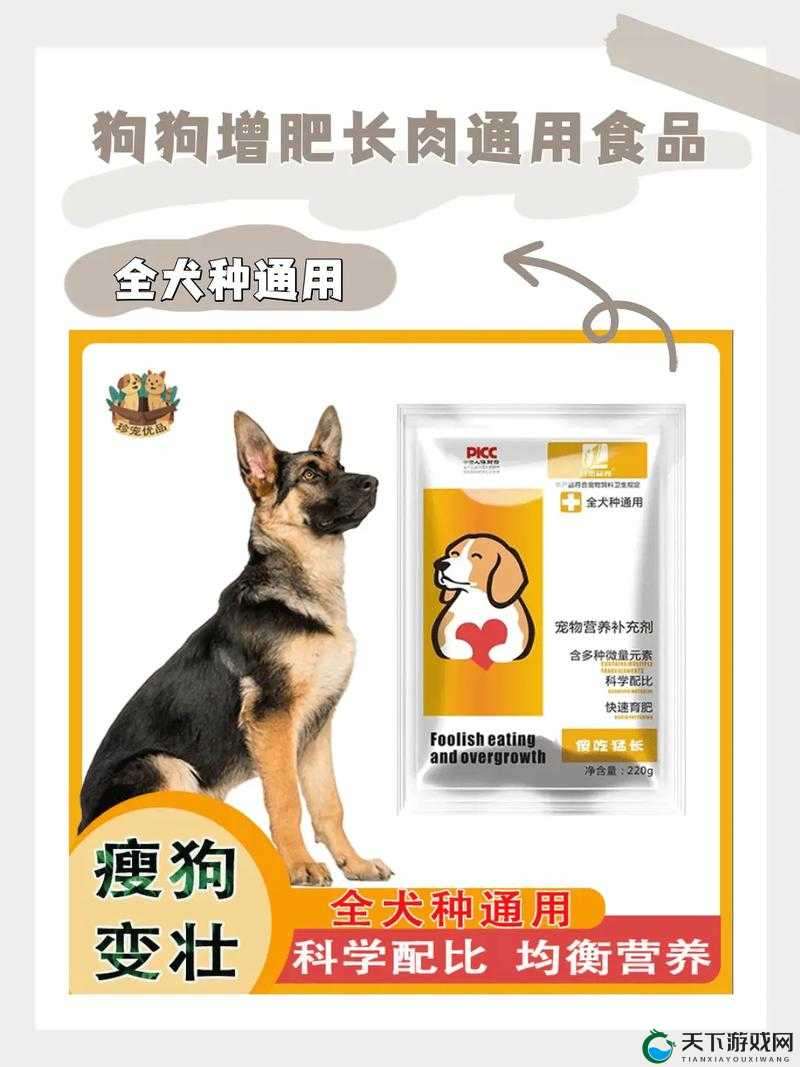 狗狗猛涨精肉狗大壮增肥增食欲：实用技巧与方法分享
