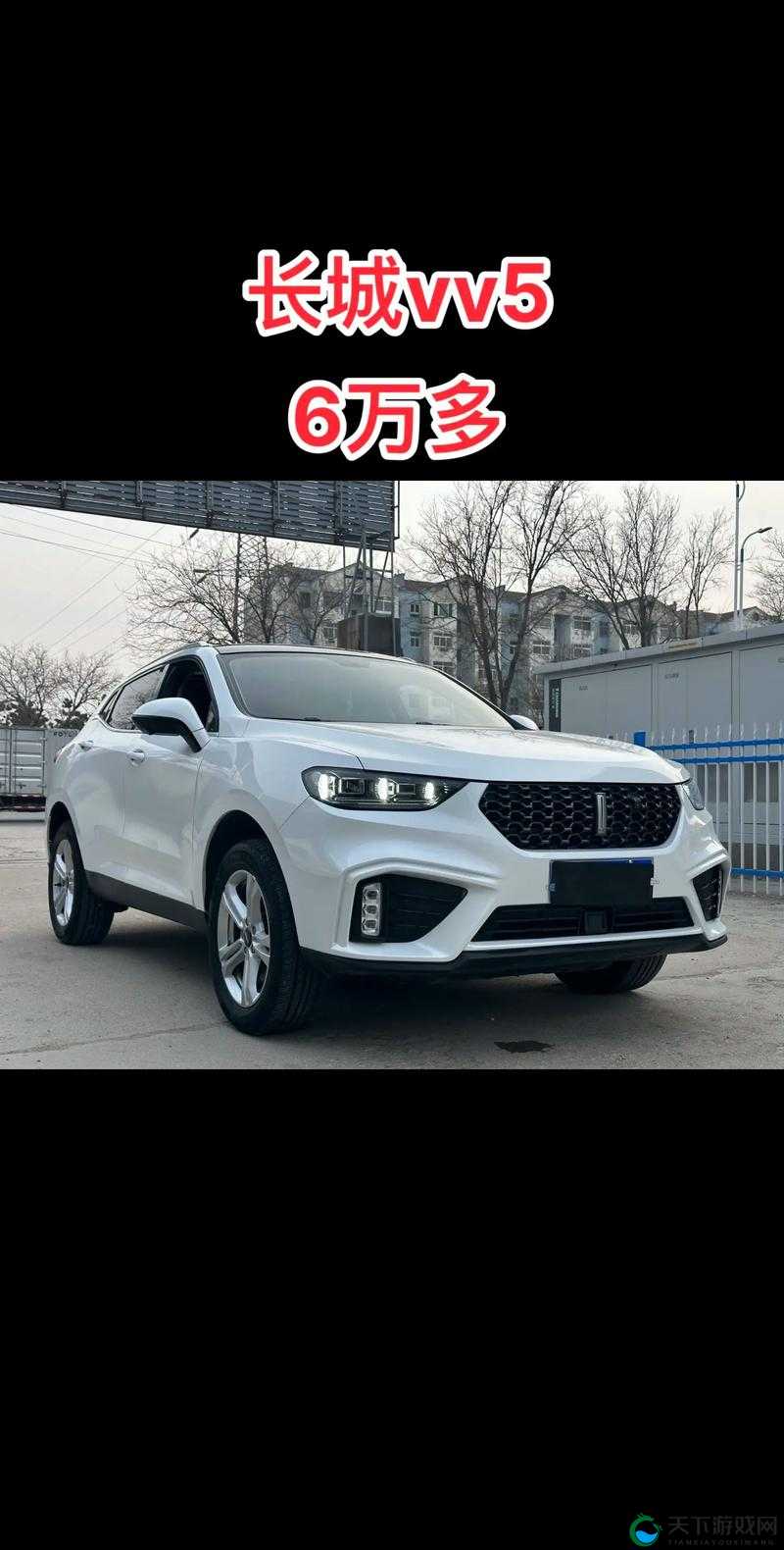 weyvv5 国产 suv 视频：颜值与实力并存