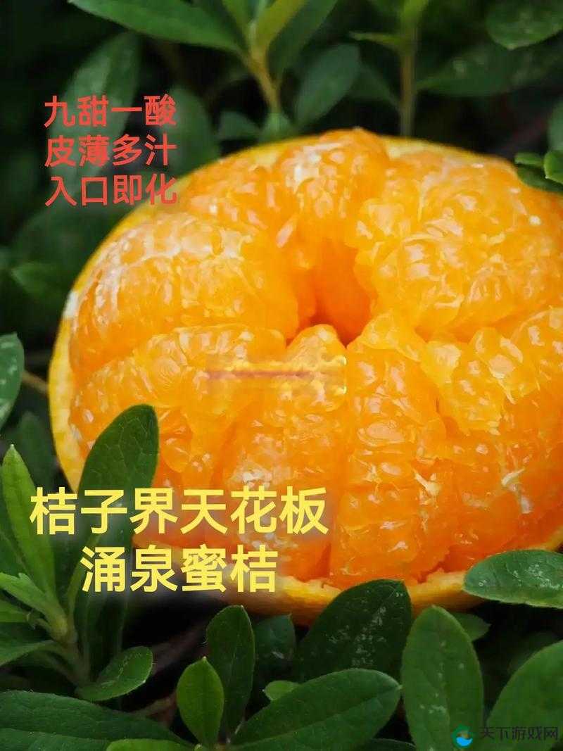 玉杵入牦户天下一奇吃桔带皮：这真是让人匪夷所思的现象