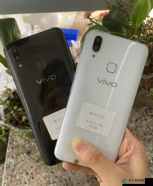 欧美另类 VIVOX21 老少配：独特视角下的情感碰撞与交融