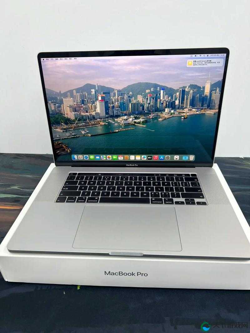 15 岁 macbookpro 日本：青春与科技的独特交融之旅
