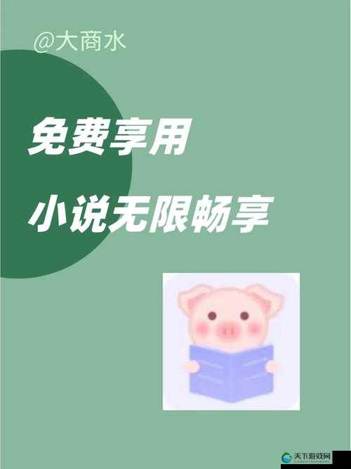 苏沫沫笔趣阁：海量小说免费畅享