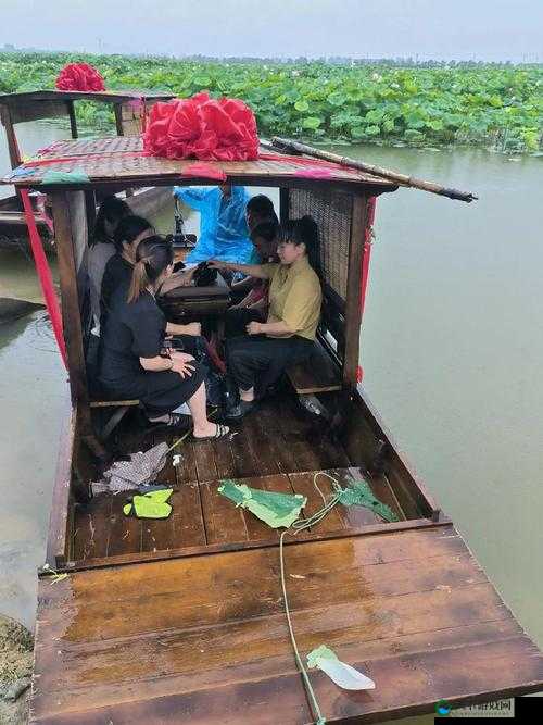 老人船上弄雨荷：展现别样生活画卷与细腻情感故事
