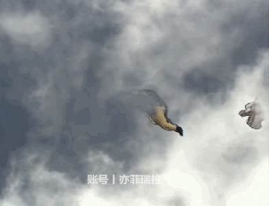 阴沟出水惊现白浆动态：令人震惊的奇特景象