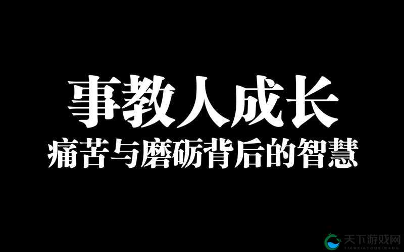 成色好的 Y31 是一次智慧的考验 这背后究竟有着怎样的意义和价值