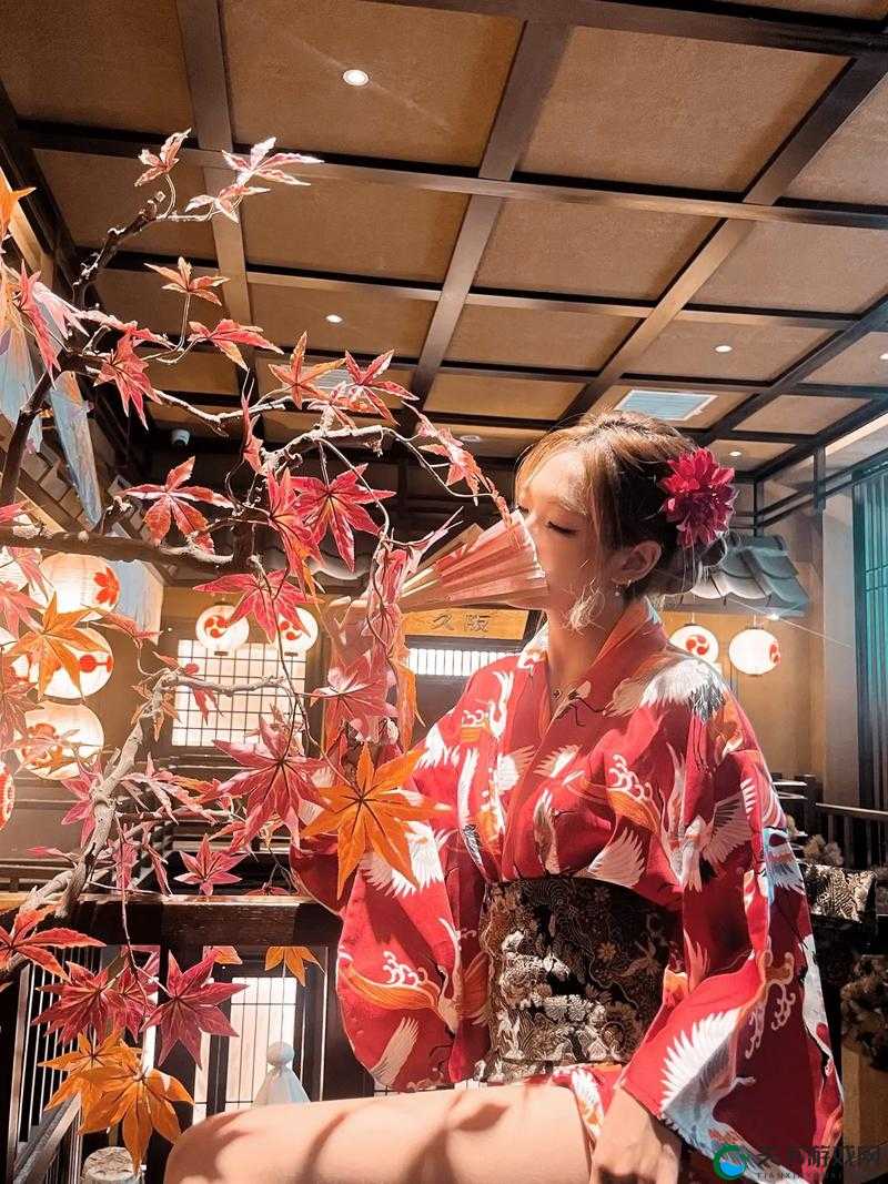 花魁直播：精彩纷呈的才艺展示与互动交流盛宴