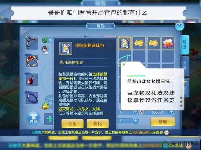 星辰奇缘宠物系统注意事项一览，资源管理的艺术