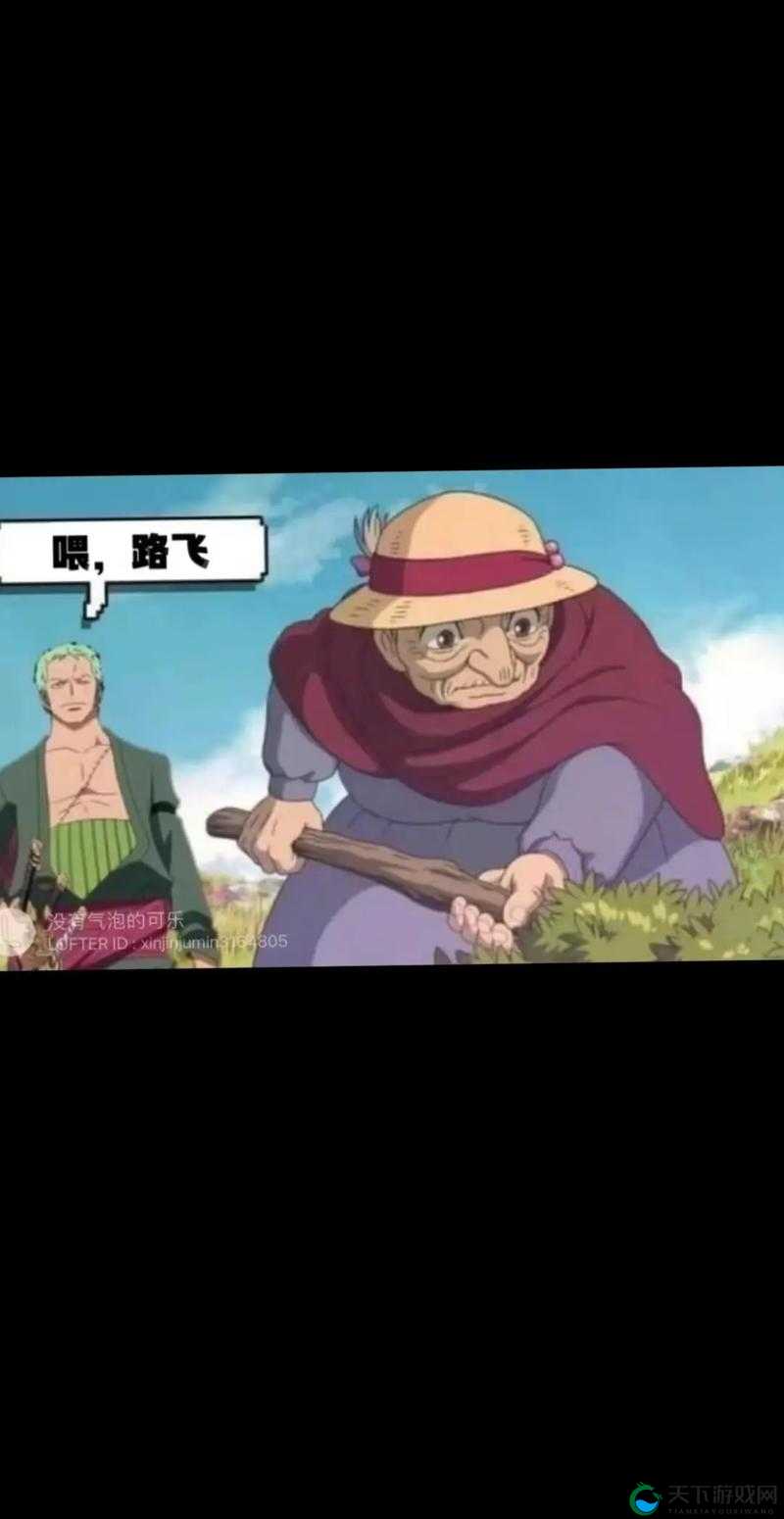 航海王的传奇之旅，探索与激战中的羁绊