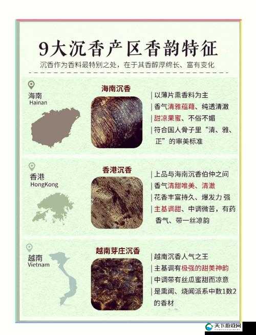 探秘精品产区 WNW2544：揭开神秘面纱背后的精彩故事