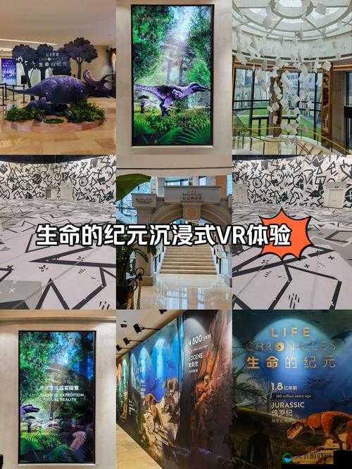 高清视频网络服务器免费：开启全新视觉体验之旅