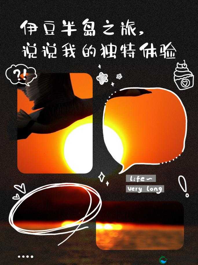 我们 4 个人换着玩：一场充满惊喜与未知的独特体验