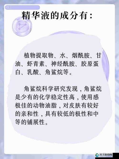 精华区二区区别之特点与差异分析