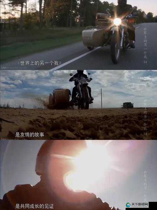给我播放个免费的片：满足你视觉享受的绝佳选择