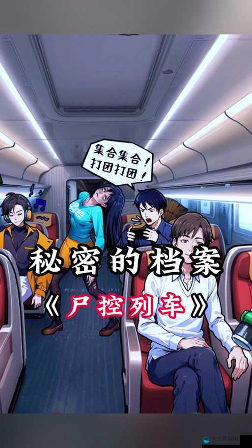秘密列车动漫在线观看攻略：详细步骤及注意事项全解析
