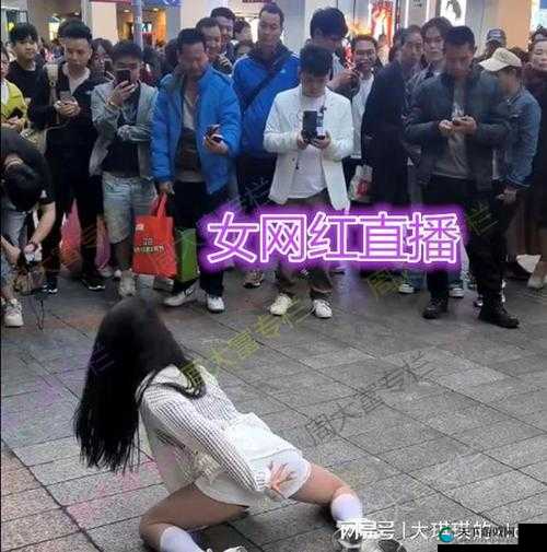成 OV 人久久精品无码网红搜索：揭秘网红背后的秘密