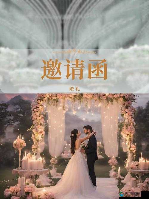今天高清视频免费播放中国：畅享视觉盛宴