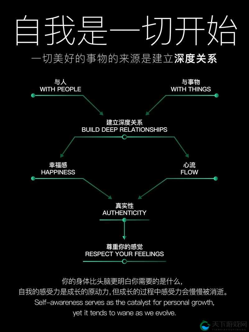 xaxwas9977777与 xboxone 关系的深度探究及未来走向