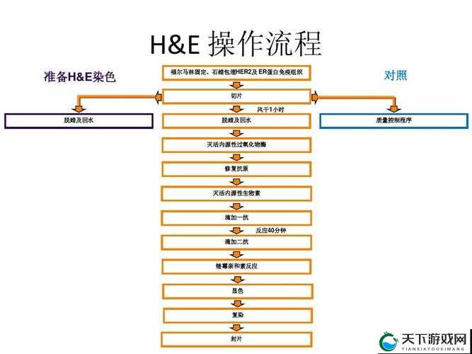 领土战争染色系统操作步骤讲解