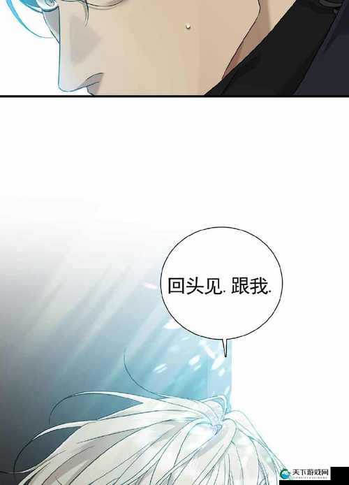 关于免费漫画阅读平台选择的全方位考量
