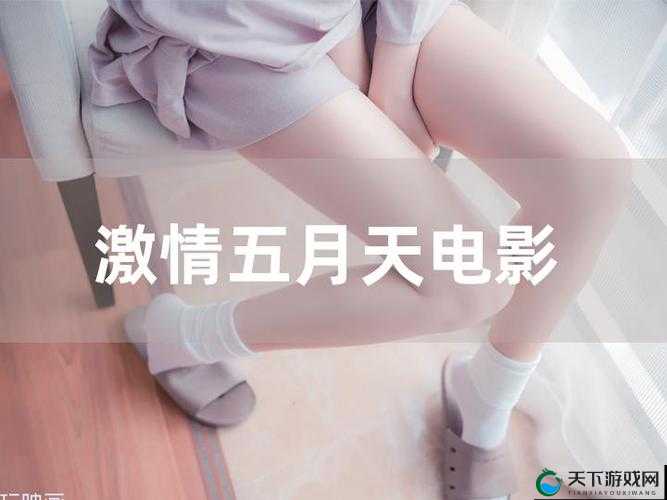 激情五月天小说：一段充满激情与梦想的青春之旅