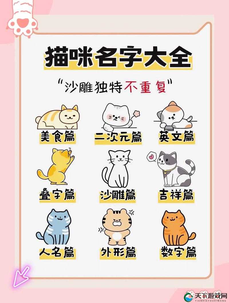 猫咪视频最新地域网名怎么取的创意命名思路探讨
