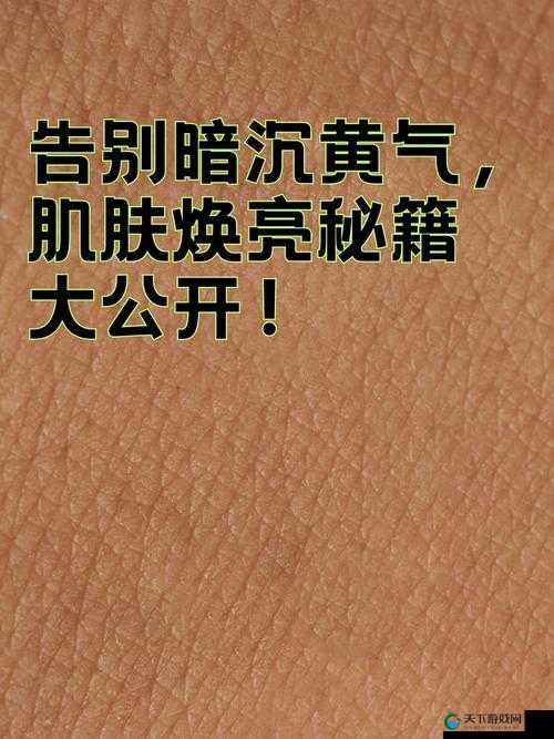 熬夜必备：黄气克星，有效去黄让肌肤焕亮如初