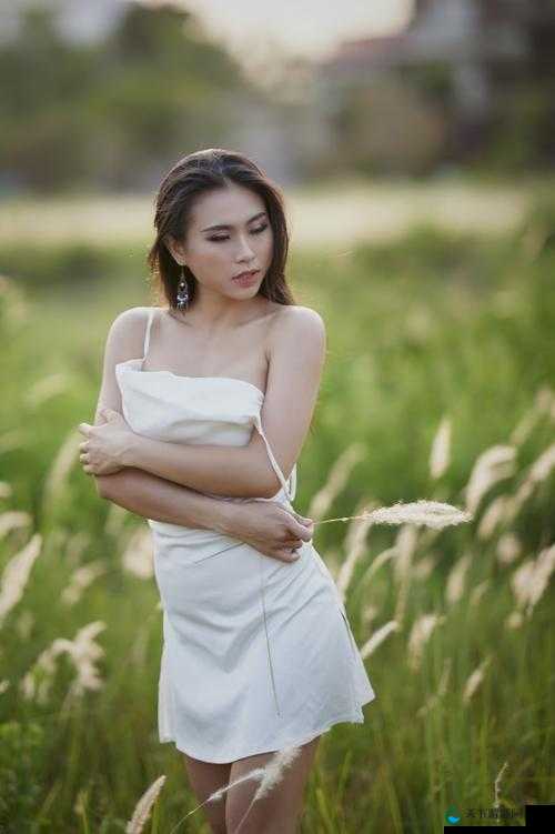 GOGOGO 大胆拜开艺术风格之精彩呈现与独特魅力展现