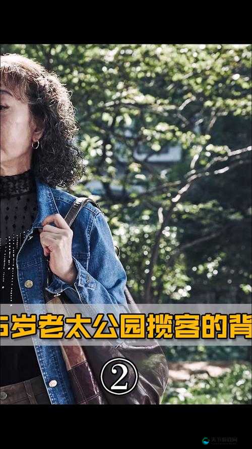 公园里的老年镖客视频大全：展现独特老年风采与镖技魅力