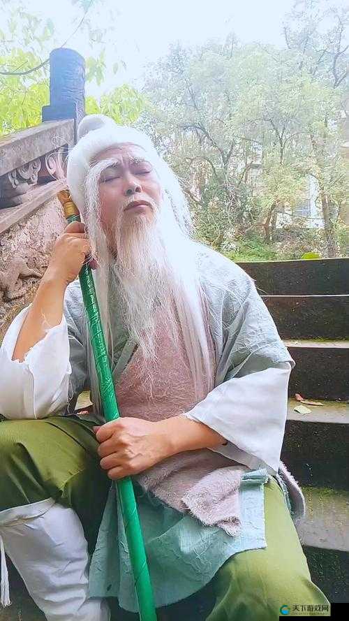 射雕英雄传3D洪七公使用完全指南，拳拳到肉在资源管理中的重要性及策略