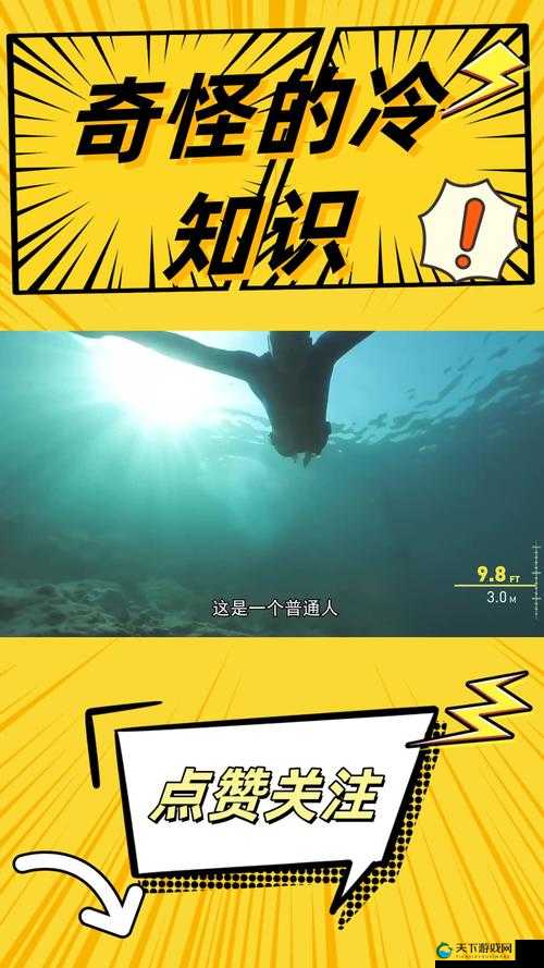 突然掉出的那透明一坨究竟隐藏着怎样的秘密
