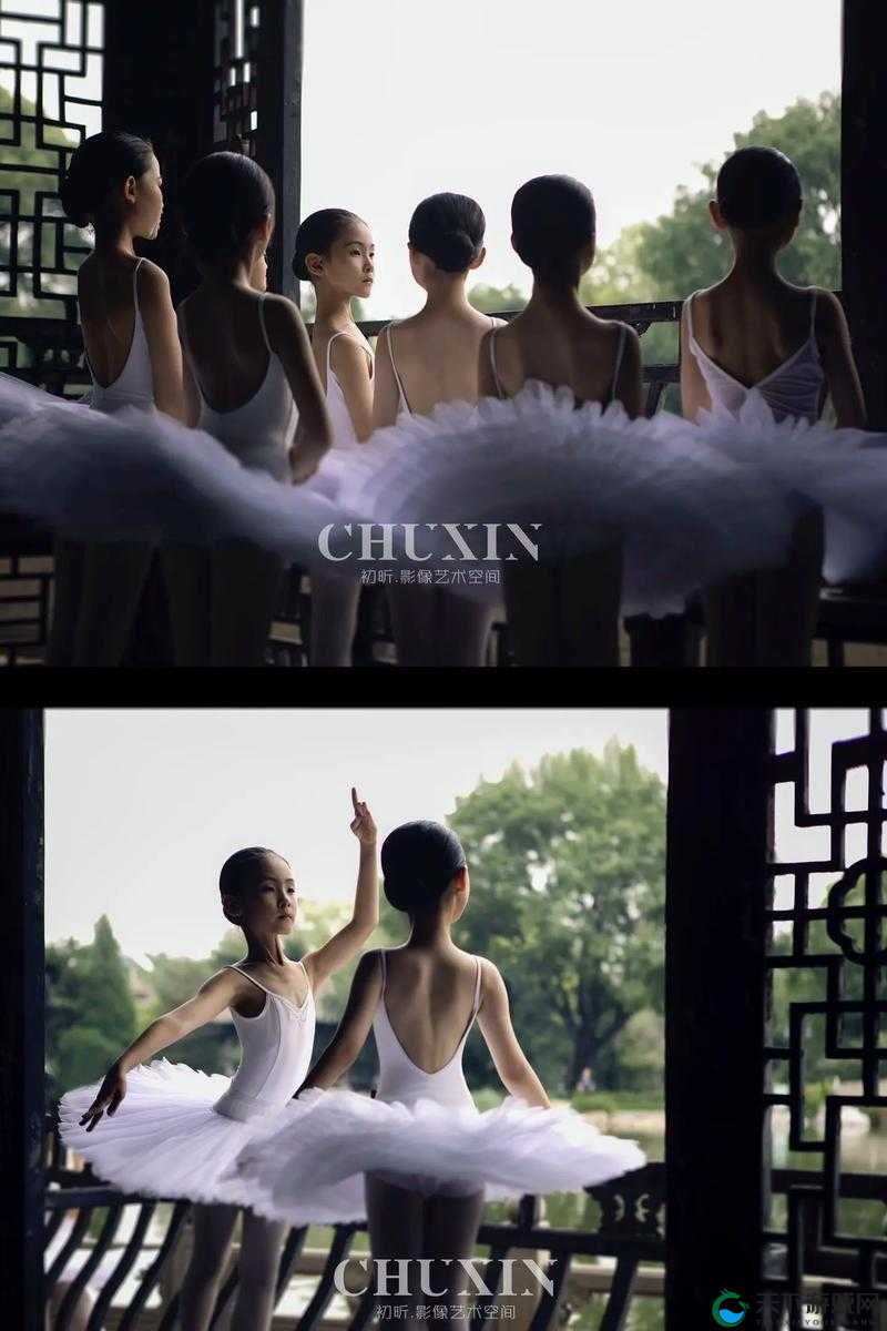 舞蹈生带着小玩具练芭蕾：开启独特艺术之旅