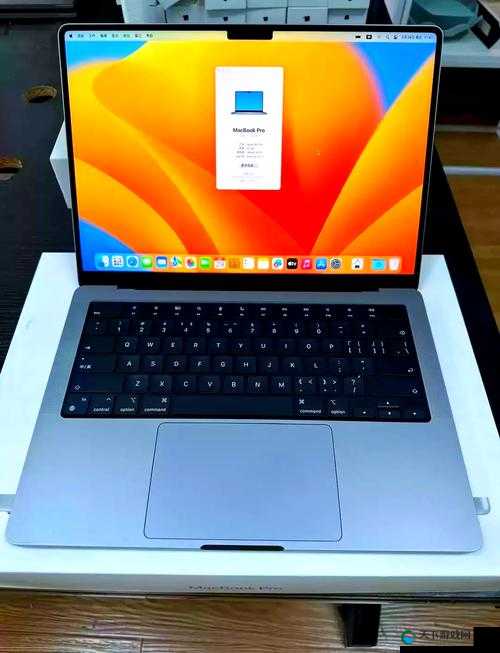 16 岁的 MacBook Pro 在日本成功发布新栏目啦