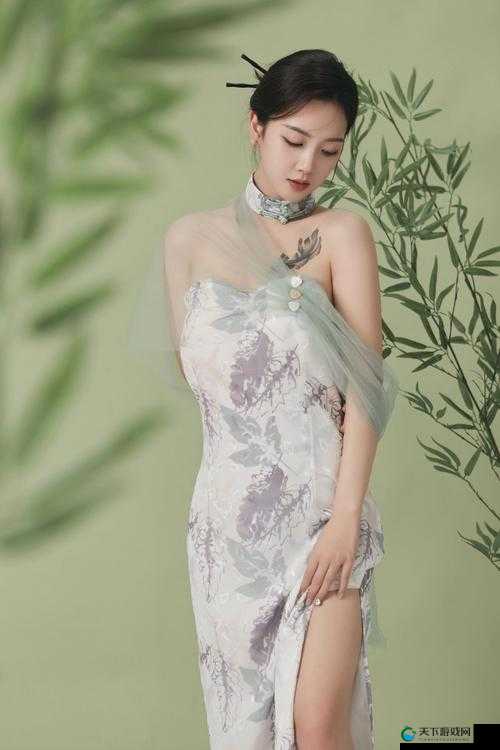 MD0020 赵佳美国风旗袍：展现东方韵味的绝美服饰