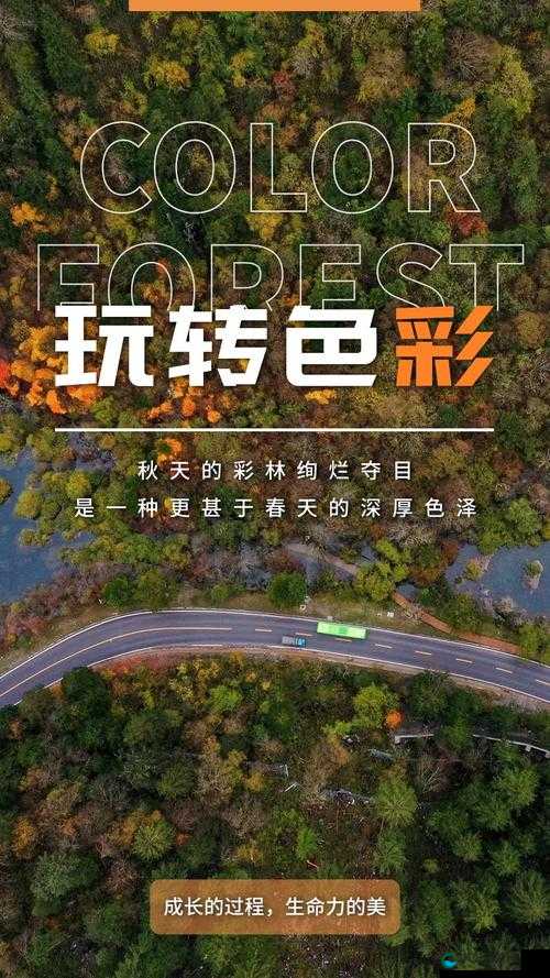 91 寻色站：畅享多彩视觉盛宴的神奇之地