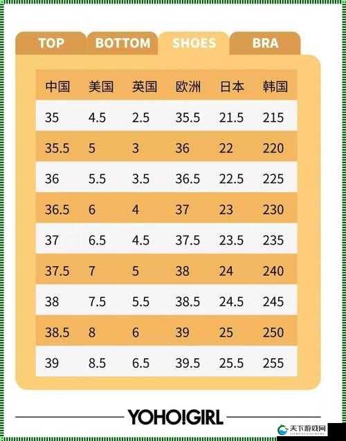 欧亚尺码专线欧洲B1B1中欧文化差异：深度探究与对比分析